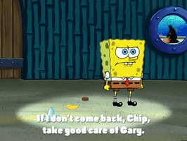 Season 3 Gif By Spongebob Squarepants Season 3 Gif By Spongebob Squarepants