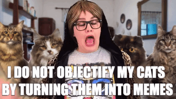 Cat Lady Meme GIF