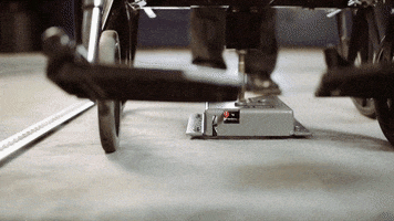 ddelie  GIF
