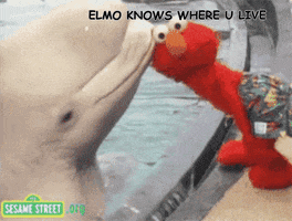 nebula wow water creepy dolphin GIF