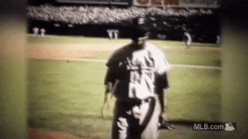 jackie robinson hello GIF by MLB