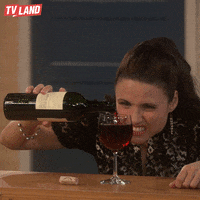 Drunk Happy Hour GIF by TV Land