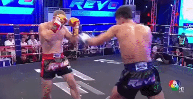 galvarez  GIF