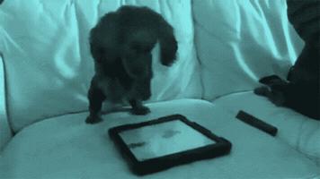 Harlo valentines day win hearts harlo interactive GIF