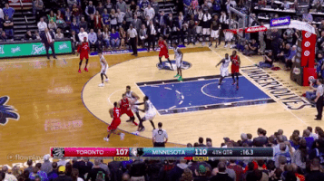 rapsfan toronto raptors GIF