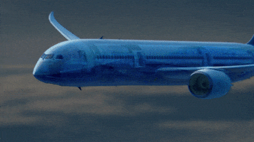 Flight Attendants Aviation GIF by PBS