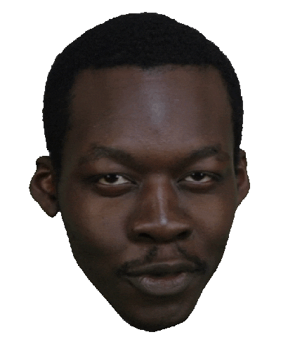 giphy.gif?cid=6c09b952ffdf5153acec0160c5