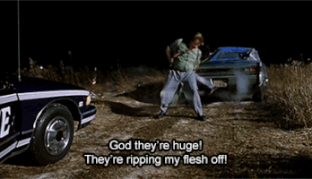 cwlkr bees tommy boy they're ripping my flash off GIF