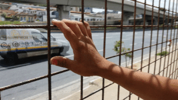 GabrielARFerreira lgbt transexuais revista transite GIF
