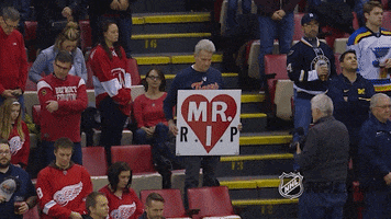 detroit red wings hockey GIF by NHL
