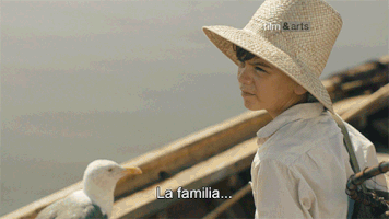 the durrells GIF by Film&Arts
