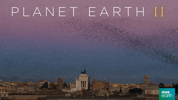 soar planet earth 2 GIF by BBC Earth