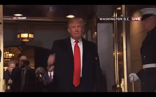 bartmeese5  GIF