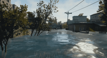 comfortdanielgmailcom  GIF