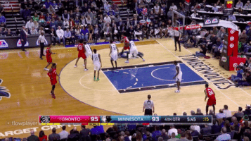 rapsfan toronto raptors GIF