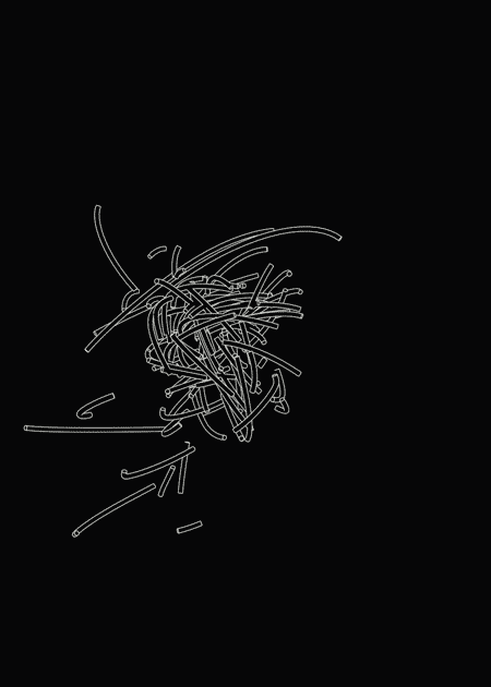 Black And White Animation GIF by James Zanoni