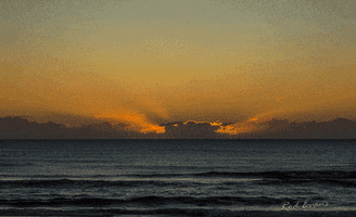 rod  GIF