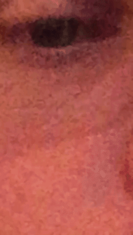 merry  GIF