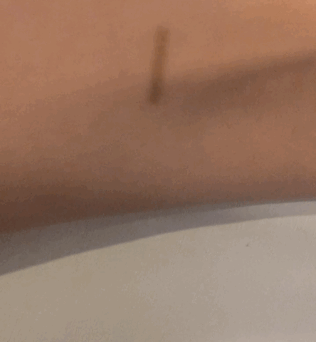 viksdesire viksdesire ultra aqua brow tint GIF