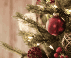 sorindumitrascu-64ac craciun GIF