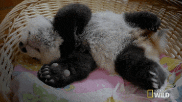 200.gif?cid=f0bdee70s9pxtqccfm5ausrxyzzd09la7avif79dnj71x4cf&rid=200.gif&ct=g