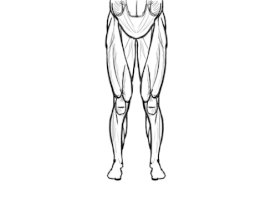 lucasmoraes "anatomy" "turn around" "head" "legs" GIF