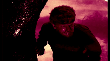 acorn the wolf man (1941) GIF