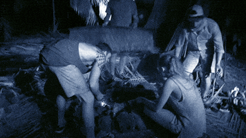 australia GIF by Australian Survivor