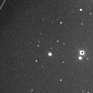 martinogorman-e5c7  GIF