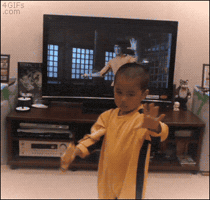 Omigu cat cute dog gif GIF
