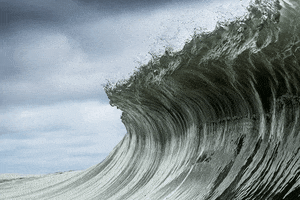 ocean wave GIF by Evan Hilton
