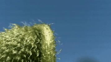 productionsonlux  GIF