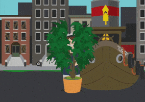 ship captain GIF by South Park 