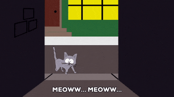 cat GIF by South Park 