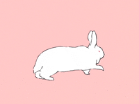 2-frame-animation GIFs - Get the best GIF on GIPHY 2-frame-animation GIFs - Get the best GIF on GIPHY