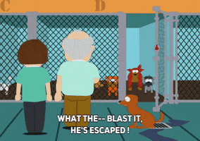 dog people GIF by South Park 