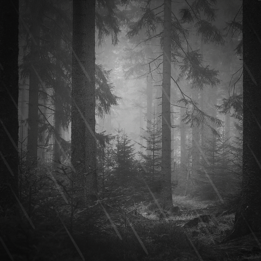 Halloween Blossom Blast GIF by King