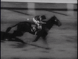 Horse Racing Vintage GIF by US National Archives