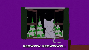 window meowing GIF by South Park 