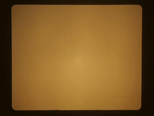 falenabalena animated GIF