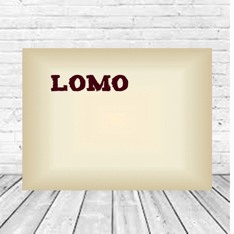 americana lomo GIF