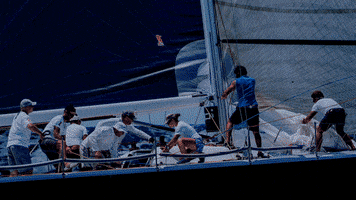 alalinares aviso tormenta GIF