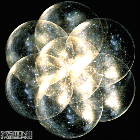 simonwielandart417 sacred geometry seed of life simon wieland art GIF