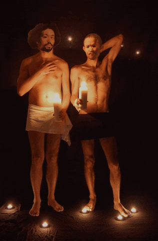 pjblanchonovich  GIF