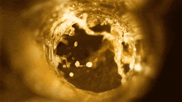 loadedonline beer craft beer ale brewie GIF