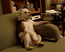 kaya_9  GIF
