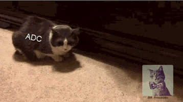 fleeur  GIF