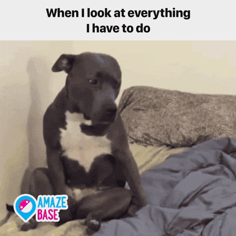 amazebase  GIF