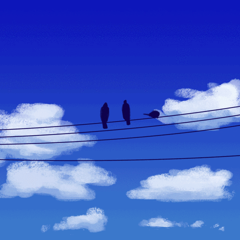 latecantparty test birds wip GIF