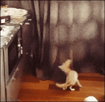 amazebase  GIF